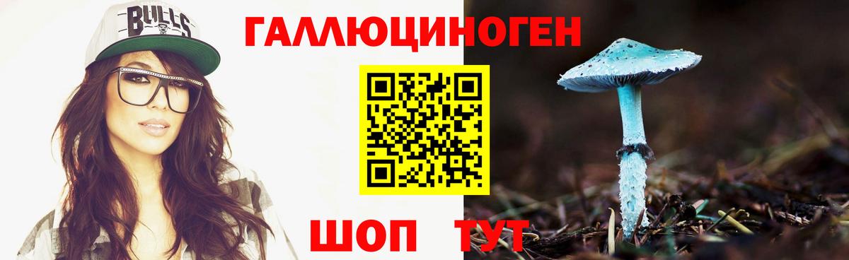 Горно-Алтайск  Псилоцибиновые грибы мухоморы  Галлюциногенные грибы Psilocybine cubensis  Вход с VPN 